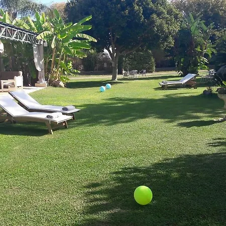 In Paradise * Zipárion