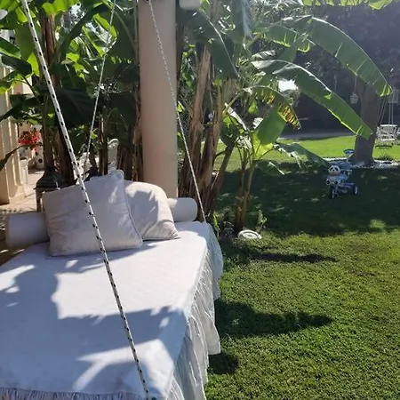 In Paradise