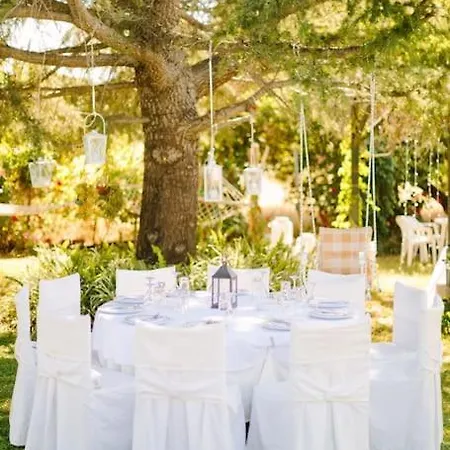 In Paradise * Zipárion