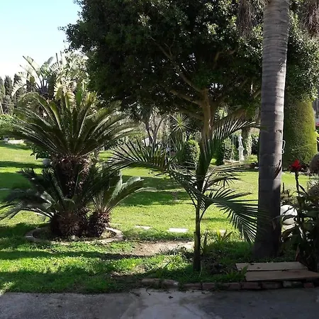 In Paradise Ziparion