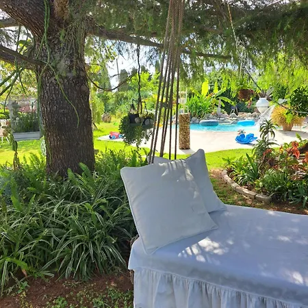 In Paradise Ferienhaus *