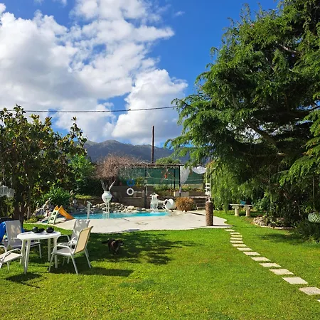 In Paradise Ferienhaus