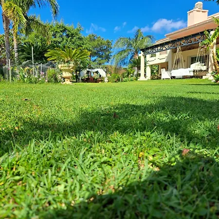 In Paradise Ferienhaus *