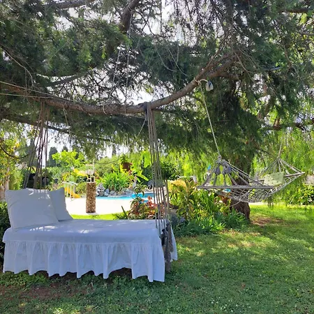In Paradise *