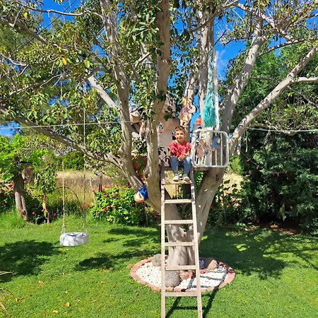 In Paradise Zipárion