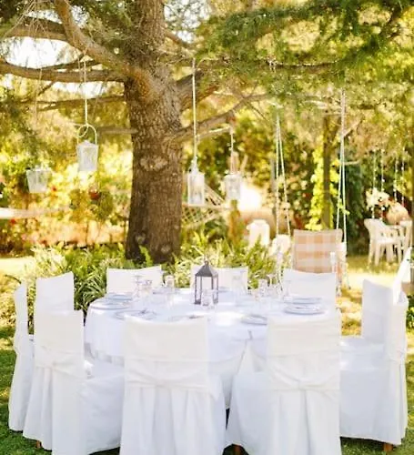 In Paradise * Zipárion