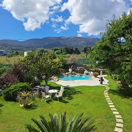 In Paradise * Ziparion