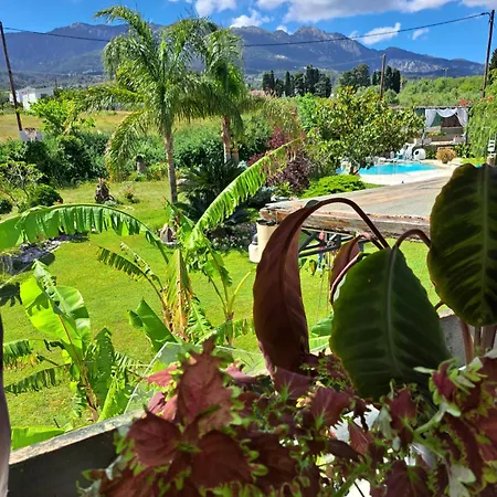 In Paradise 度假居