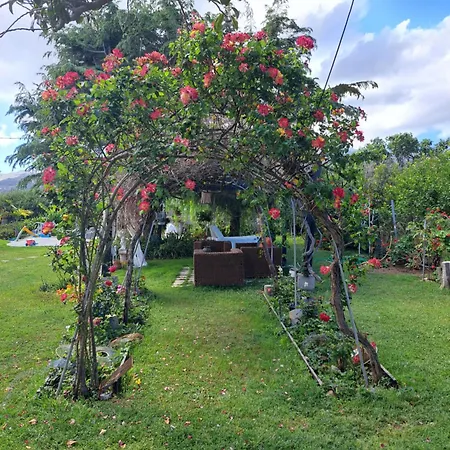 Сasa de vacaciones In Paradise *