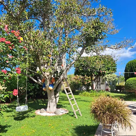 In Paradise Casa de Férias Ziparion