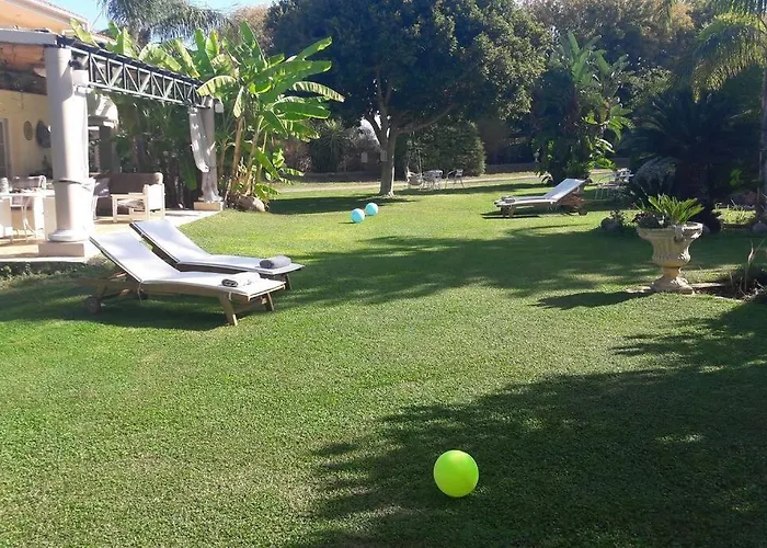 In Paradise * Ziparion