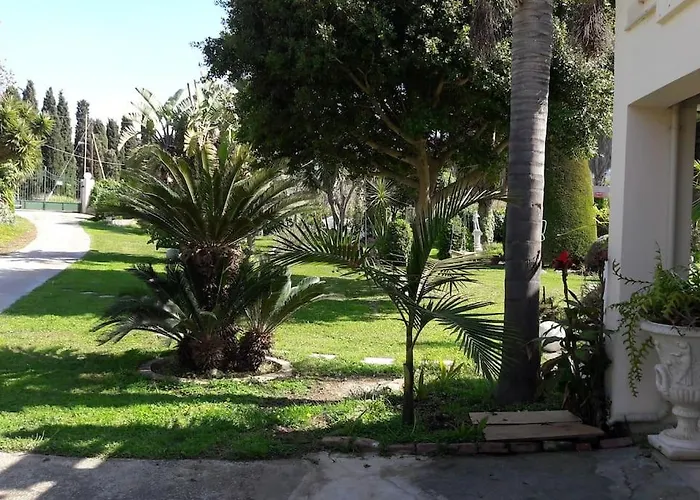 In Paradise Ziparion