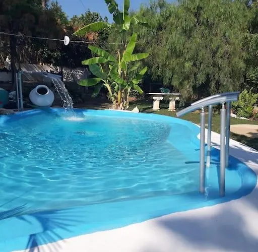 In Paradise Ziparion