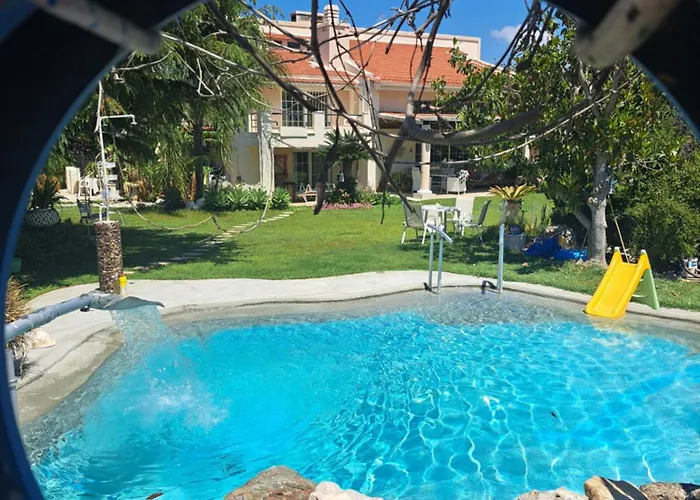 In Paradise Ziparion