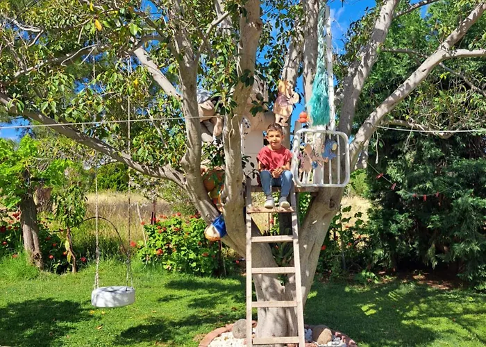 In Paradise Ziparion